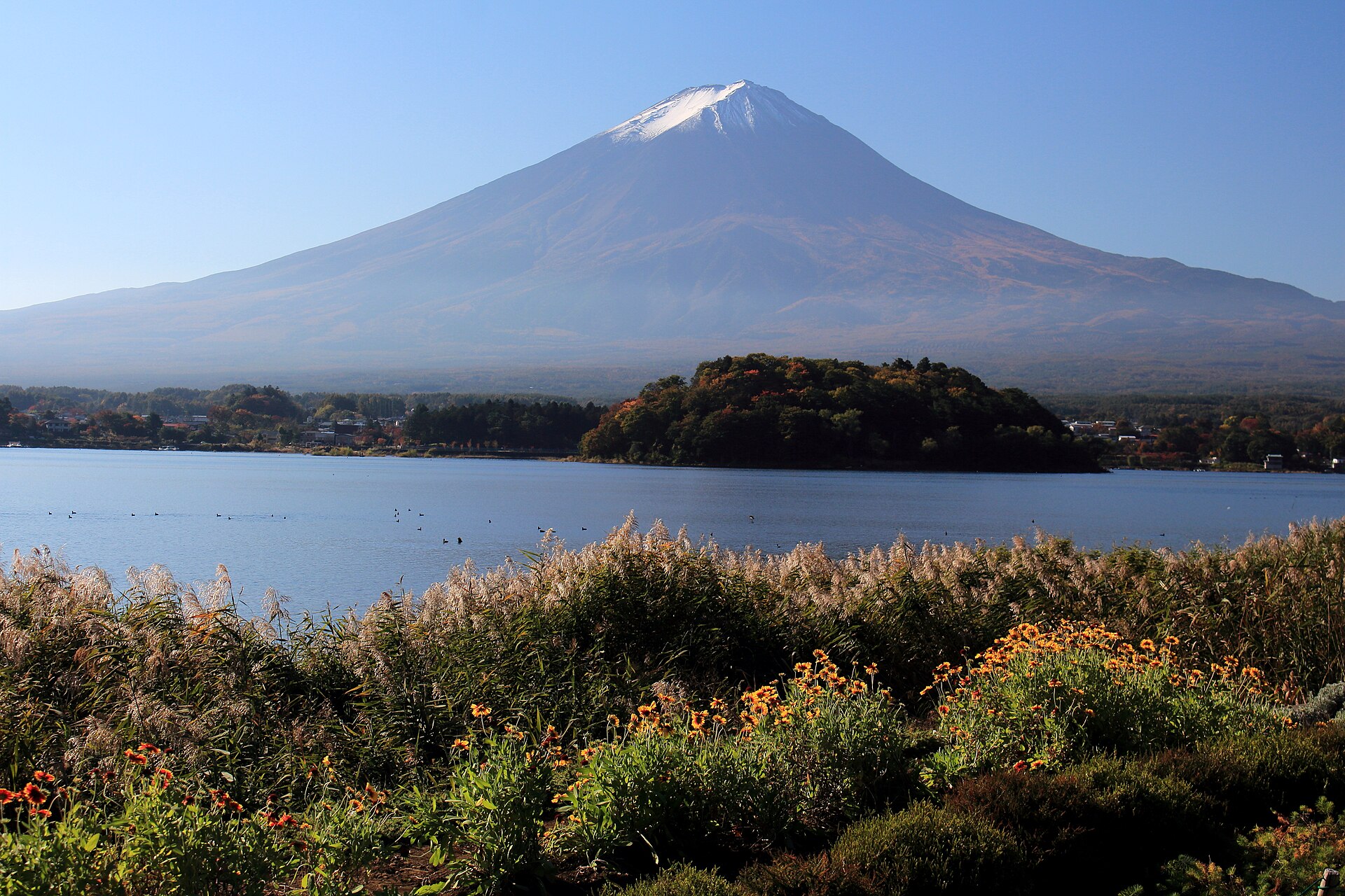 大石公园看富士山